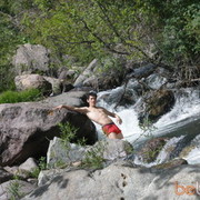  ,   Maus_2010, 37 ,   