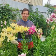 ���������� ����, ���� ������� ��������, 70 ���, ������������ ��� ������, ����� � ���������, c�������� ���������