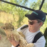 ���������� �������, ���� ������� �������, 38 ���, ������������ ��� ����� � ���������, c�������� ���������