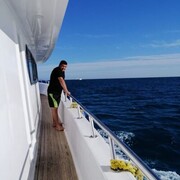 ���������� ������, ���� ������� �����, 37 ���, ������������ ��� ������, ����� � ���������