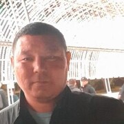  ,   Adai, 40 ,   ,   