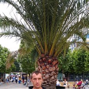  ,   , 38 ,     , c 