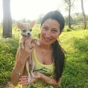 ���������� ����, ���� ������� ����, 49 ���, ������������ ��� c�������� ���������