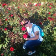 ���������� ��������, ���� ������� Sany, 44 ����, ������������ ��� ������, ����� � ���������, c�������� ���������