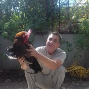  ,   , 65 ,   ,   , c 