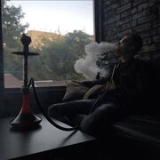 ���������� ���������, ���� ����� ��������, 25 ���, ������������ ��� ������, ����� � ���������