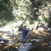 ���������� ��������, ���� ������� ������ ����, 31 ���, ������������ ��� ����� � ���������, c�������� ���������