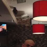 ���������� �������, ���� ������� ����, 42 ����, ������������ ��� ������, ����� � ���������