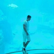  --,   , 26 ,   ,   , c 