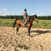 ���������� ������, ���� ������� ������, 30 ���, ������������ ��� ������, ����� � ���������, c�������� ���������