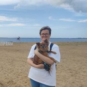 ���������� ������������, ���� ������� �����, 48 ���, ������������ ��� ����� � ���������, c�������� ���������