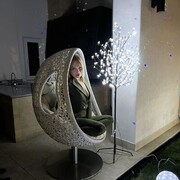 ���������� ������, ���� ������� ������, 36 ���, ������������ ��� ������, ����� � ���������, ���������