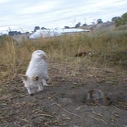 ��� ����� ���� , �� ����� � ����� ������ ������� .