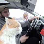 ���������� ������, ���� ����� ���, 24 ����, ������������ ��� ������, ����� � ���������, c�������� ���������