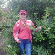  ,   , 55 ,  