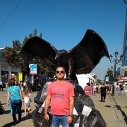 ���������� ���������, ���� ������� ����, 51 ���, ������������ ��� ������, ����� � ���������, c�������� ���������