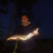 ���������� �������, ���� ������� �������, 49 ���, ������������ ��� ����� � ���������, c�������� ���������