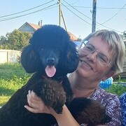  ,   , 52 ,     , c , 