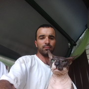   ,   , 34 ,   ,   , c 