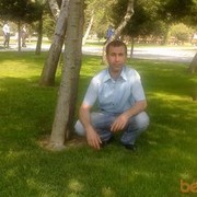 ���������� ����, ���� ������� Ulvi, 40 ���, ������������ ��� ������