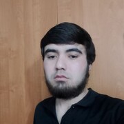  ,   Shohin, 22 ,   ,   