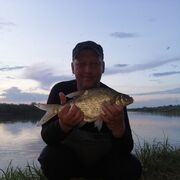  ,   Denis, 50 ,   ,   
