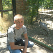 ���������� ��������, ���� ������� ����, 40 ���, ������������ ��� ������