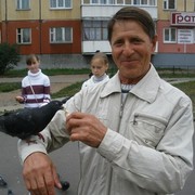  ,   , 74 ,   , 