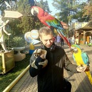 ���������� ����, ���� ������� ������, 38 ���, ������������ ��� ������, ����� � ���������, c�������� ���������