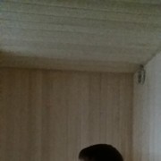  ,  , 32