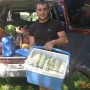 ���������� �������, ���� ������� �����, 45 ���, ������������ ��� ������