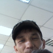  --,   , 52 ,   