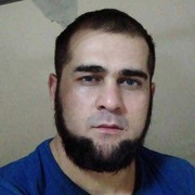  ,   Maga, 36 ,   ,   , c 