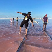 ���������� �����������, ���� ������� �����, 29 ���, ������������ ��� ������, ����� � ���������, c�������� ���������