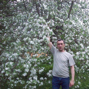 ���������� ������, ���� ������� �����, 57 ���, ������������ ��� ������, ����� � ���������, c�������� ���������