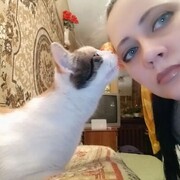 ���������� �����-���������, ���� ������� Pani, 48 ���, ������������ ��� ���������