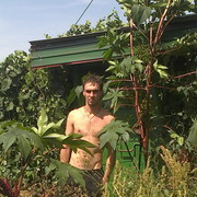 ���������� ������, ���� ������� ���������, 41 ���, ������������ ��� ������, ����� � ���������, c�������� ���������