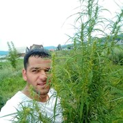   ,  Kar, 40