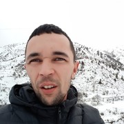 ���������� �������, ���� ������� ALIM, 36 ���, ������������ ��� ������, ����� � ���������, c�������� ���������