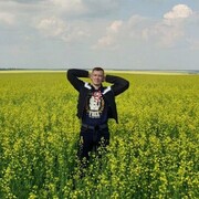 ���������� ������, ���� ������� ������, 37 ���, ������������ ��� ������, ����� � ���������, c�������� ���������