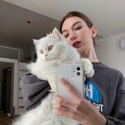  ,   , 28 ,   ,   , c , 