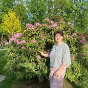 ���������� ���������, ���� ������� ������, 55 ���, ������������ ��� ������, ����� � ���������, c�������� ���������