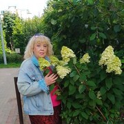  -,   , 52 ,     , c 