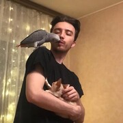  ,   Sandro, 29 ,   ,   