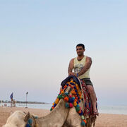 ���������� ���������, ���� ������� Hayk, 39 ���, ������������ ��� ������, ����� � ���������, c�������� ���������