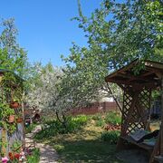 ���������� ����, ���� ������� Kamoliddin, 27 ���, ������������ ��� ������, ����� � ���������