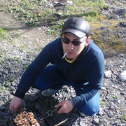  -,   Vova, 42 ,   ,   , c 