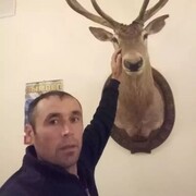 ���������� �����, ���� ������� ������, 46 ���, ������������ ��� ������, ����� � ���������