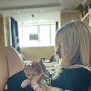 ���������� ������, ���� ������� �����, 23 ����, ������������ ��� ������, ����� � ���������