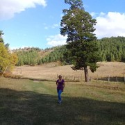 ���������� ���������, ���� ������� �����, 45 ���, ������������ ��� ������, ����� � ���������, c�������� ���������